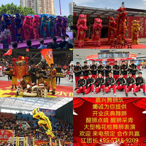 嘉興舞獅隊(duì) 開(kāi)業(yè)慶典舞獅表演價(jià)格與營(yíng)業(yè)性文藝表演全解析